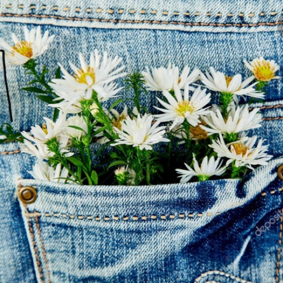 Meet your Posher, Anne - Picture 4 of 4